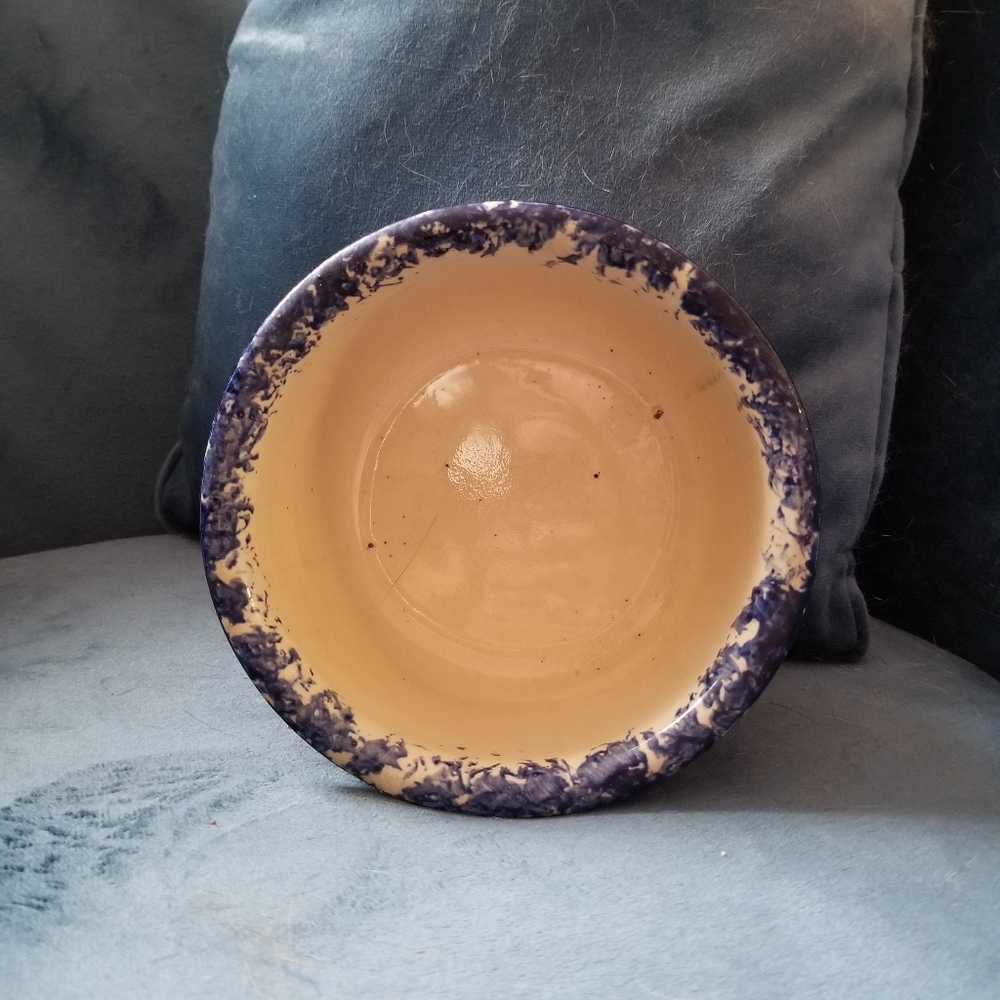 Blue Speckled Bowl